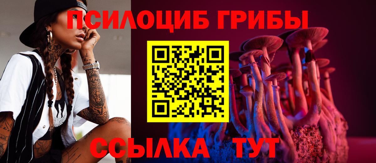 Анапа  Галлюциногенные грибы Psilocybine cubensis  Вход с VPN 